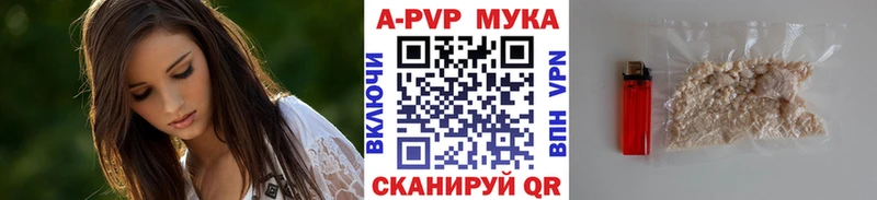 мега tor Абакан Alfa_PVP крисы CK