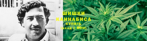 СК Богородск