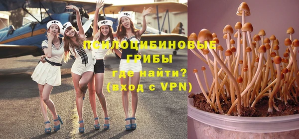 а пвп мука Богданович