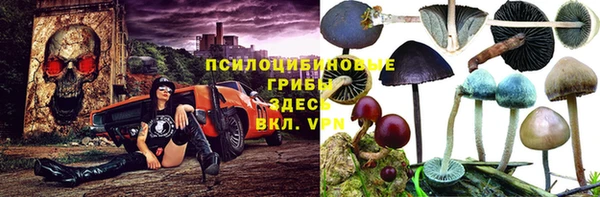СК Богородск