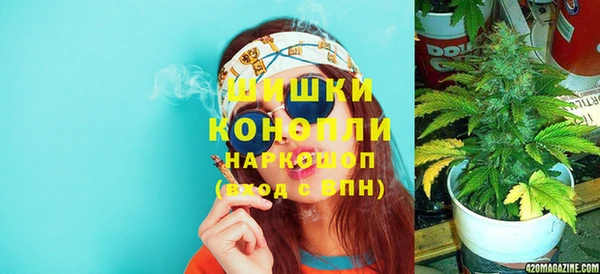 СК Богородск
